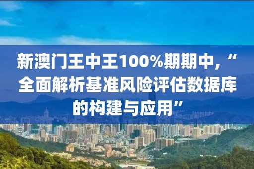 新澳门王中王100%期期中,“全面解析基准风险评估数据库的构建与应用”