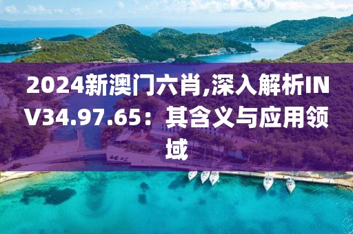 2024新澳门六肖,深入解析INV34.97.65：其含义与应用领域