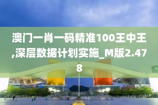 澳门一肖一码精准100王中王,深层数据计划实施_M版2.478