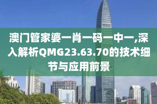 澳门管家婆一肖一码一中一,深入解析QMG23.63.70的技术细节与应用前景