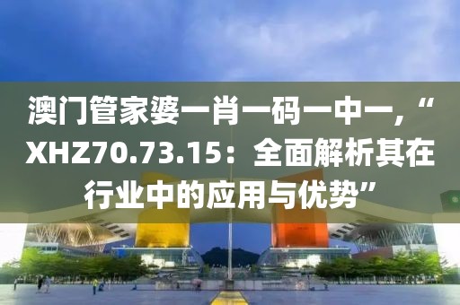 澳门管家婆一肖一码一中一,“XHZ70.73.15：全面解析其在行业中的应用与优势”