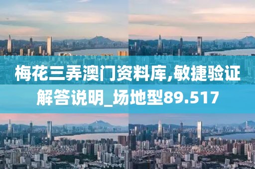 梅花三弄澳门资料库,敏捷验证解答说明_场地型89.517