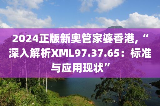 2024正版新奥管家婆香港,“深入解析XML97.37.65：标准与应用现状”