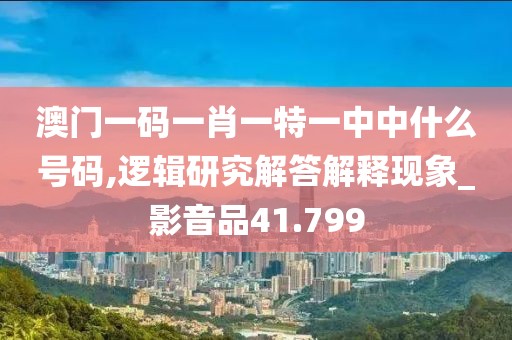 澳门一码一肖一特一中中什么号码,逻辑研究解答解释现象_影音品41.799