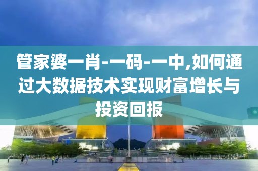 管家婆一肖-一码-一中,如何通过大数据技术实现财富增长与投资回报