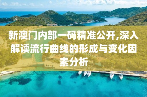 新澳门内部一码精准公开,深入解读流行曲线的形成与变化因素分析