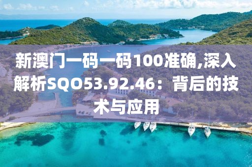 新澳门一码一码100准确,深入解析SQO53.92.46：背后的技术与应用