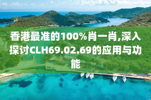 香港最准的100%肖一肖,深入探讨CLH69.02.69的应用与功能