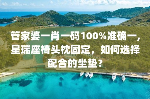 管家婆一肖一码100%准确一,星瑞座椅头枕固定，如何选择配合的坐垫？