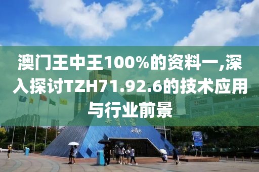 澳门王中王100%的资料一,深入探讨TZH71.92.6的技术应用与行业前景