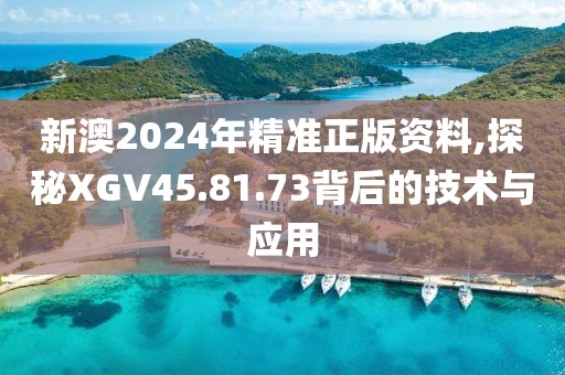 新澳2024年精准正版资料,探秘XGV45.81.73背后的技术与应用