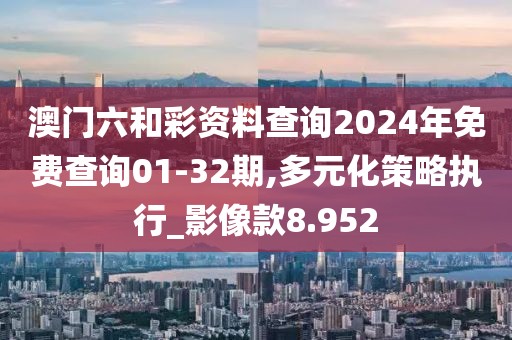 澳门六和彩资料查询2024年免费查询01-32期,多元化策略执行_影像款8.952