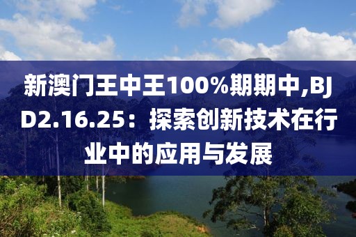 新澳门王中王100%期期中,BJD2.16.25：探索创新技术在行业中的应用与发展
