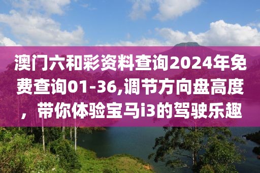 澳门六和彩资料查询2024年免费查询01-36,调节方向盘高度，带你体验宝马i3的驾驶乐趣