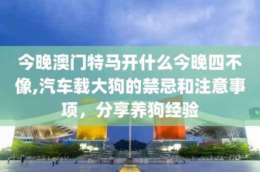 今晚澳门特马开什么今晚四不像,汽车载大狗的禁忌和注意事项，分享养狗经验
