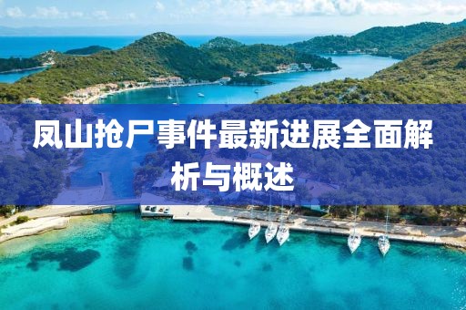 凤山抢尸事件最新进展全面解析与概述