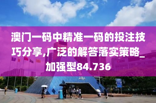 澳门一码中精准一码的投注技巧分享,广泛的解答落实策略_加强型84.736