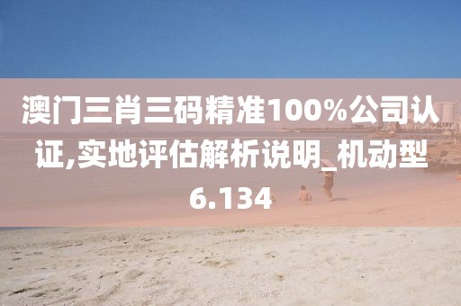 澳门三肖三码精准100%公司认证,实地评估解析说明_机动型6.134