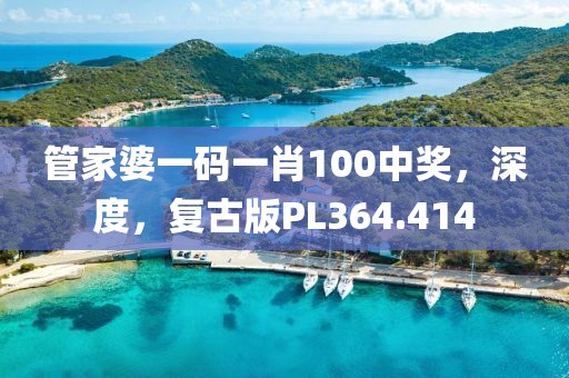 管家婆一码一肖100中奖，深度，复古版PL364.414