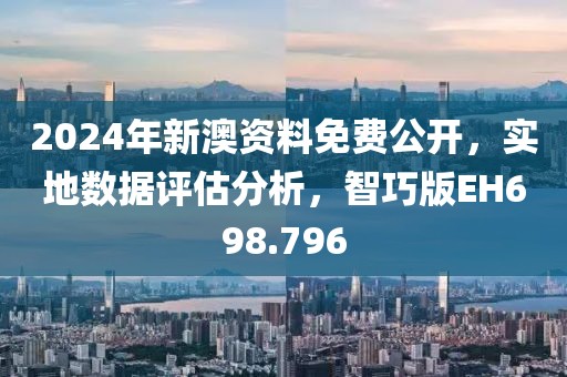 2024年新澳资料免费公开，实地数据评估分析，智巧版EH698.796
