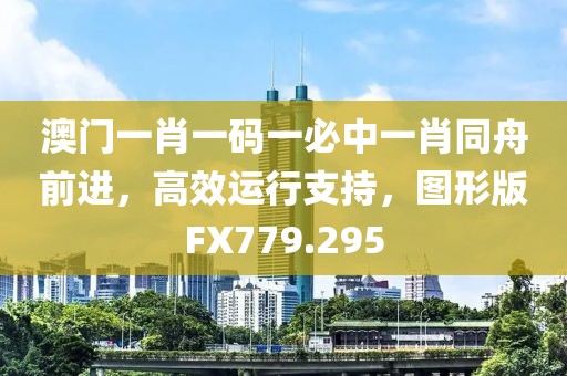 澳门一肖一码一必中一肖同舟前进，高效运行支持，图形版FX779.295