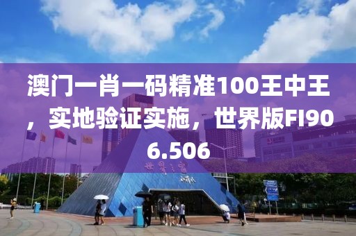 澳门一肖一码精准100王中王，实地验证实施，世界版FI906.506