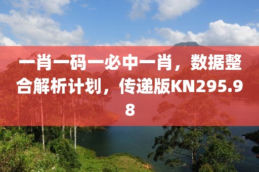 一肖一码一必中一肖，数据整合解析计划，传递版KN295.98