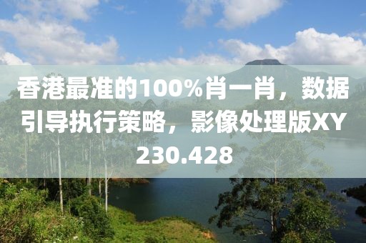 香港最准的100%肖一肖，数据引导执行策略，影像处理版XY230.428
