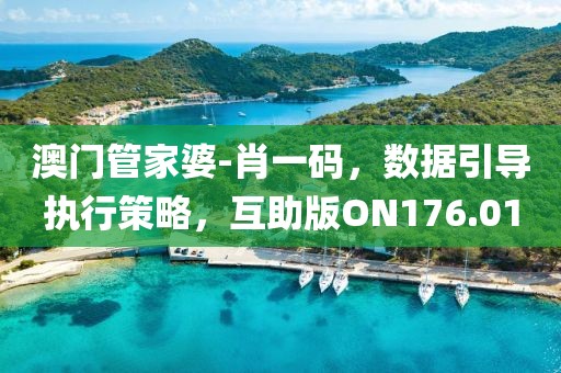 澳门管家婆-肖一码，数据引导执行策略，互助版ON176.01