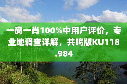 一码一肖100%中用户评价，专业地调查详解，共鸣版KU118.984