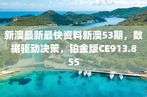 新澳最新最快资料新澳53期，数据驱动决策，铂金版CE913.855