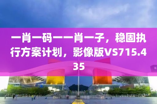 一肖一码一一肖一子，稳固执行方案计划，影像版VS715.435