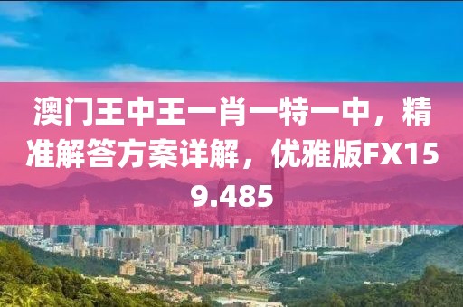 澳门王中王一肖一特一中，精准解答方案详解，优雅版FX159.485