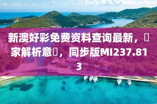 新澳好彩免费资料查询最新，專家解析意見，同步版MI237.813