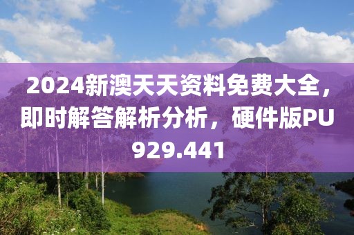 2024新澳天天资料免费大全，即时解答解析分析，硬件版PU929.441