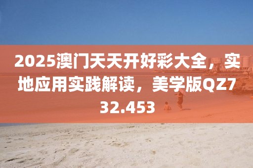 2025澳门天天开好彩大全，实地应用实践解读，美学版QZ732.453