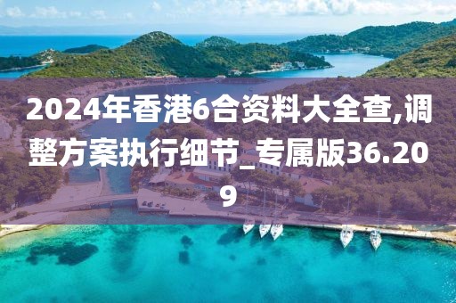 2024年香港6合资料大全查,调整方案执行细节_专属版36.209