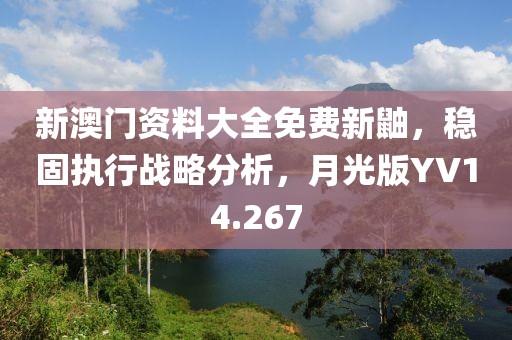 新澳门资料大全免费新鼬，稳固执行战略分析，月光版YV14.267