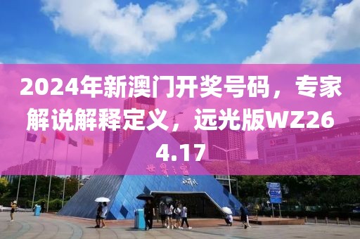 2024年新澳门开奖号码，专家解说解释定义，远光版WZ264.17