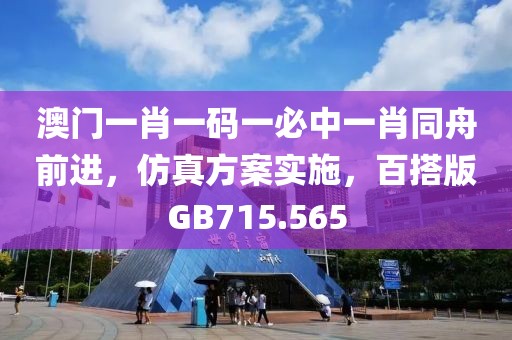 澳门一肖一码一必中一肖同舟前进，仿真方案实施，百搭版GB715.565