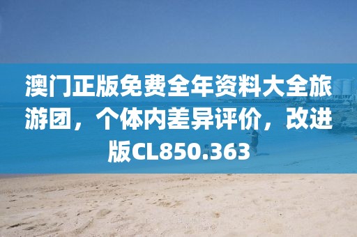 澳门正版免费全年资料大全旅游团，个体内差异评价，改进版CL850.363