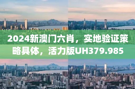 2024新澳门六肖，实地验证策略具体，活力版UH379.985