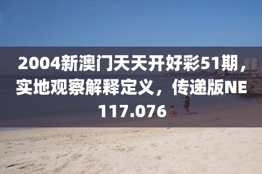 2004新澳门天天开好彩51期，实地观察解释定义，传递版NE117.076