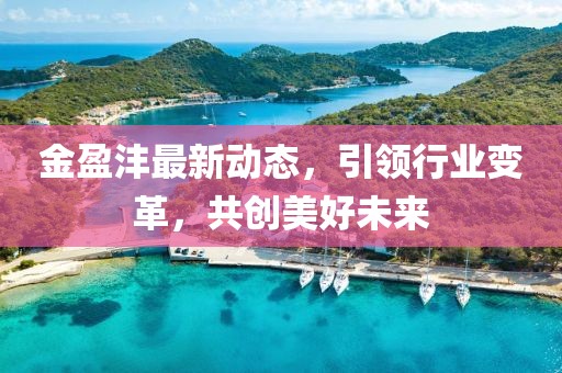 金盈沣最新动态，引领行业变革，共创美好未来