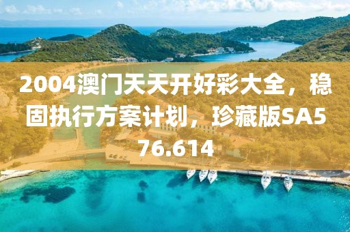 2004澳门天天开好彩大全，稳固执行方案计划，珍藏版SA576.614