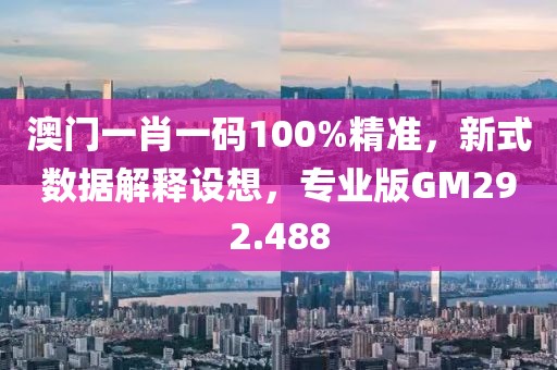 澳门一肖一码100%精准，新式数据解释设想，专业版GM292.488