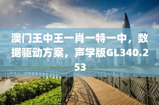 澳门王中王一肖一特一中，数据驱动方案，声学版GL340.253