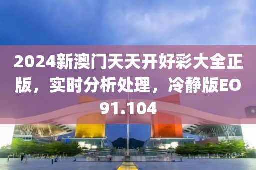 2024新澳门天天开好彩大全正版，实时分析处理，冷静版EO91.104