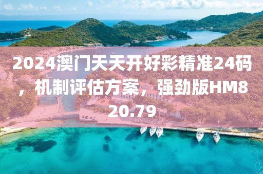 2024澳门天天开好彩精准24码，机制评估方案，强劲版HM820.79