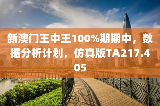 新澳门王中王100%期期中，数据分析计划，仿真版TA217.405